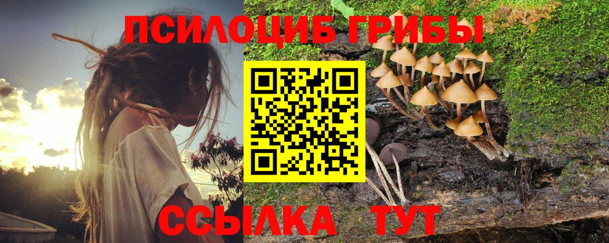 Псилоцибиновые грибы мухоморы Азов
